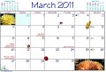 07 Mar Dates